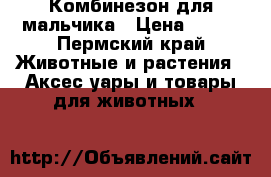 Комбинезон для мальчика › Цена ­ 500 - Пермский край Животные и растения » Аксесcуары и товары для животных   